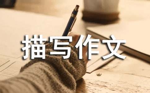 哪里可以找到关于篮球心理训练的资源_0